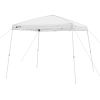 10' x 10' Simple Push Slant Leg Canopy (100 Sq. ft.)